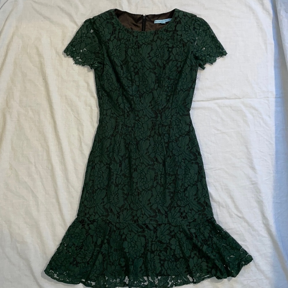 Antonio Melani Green Lace Dress